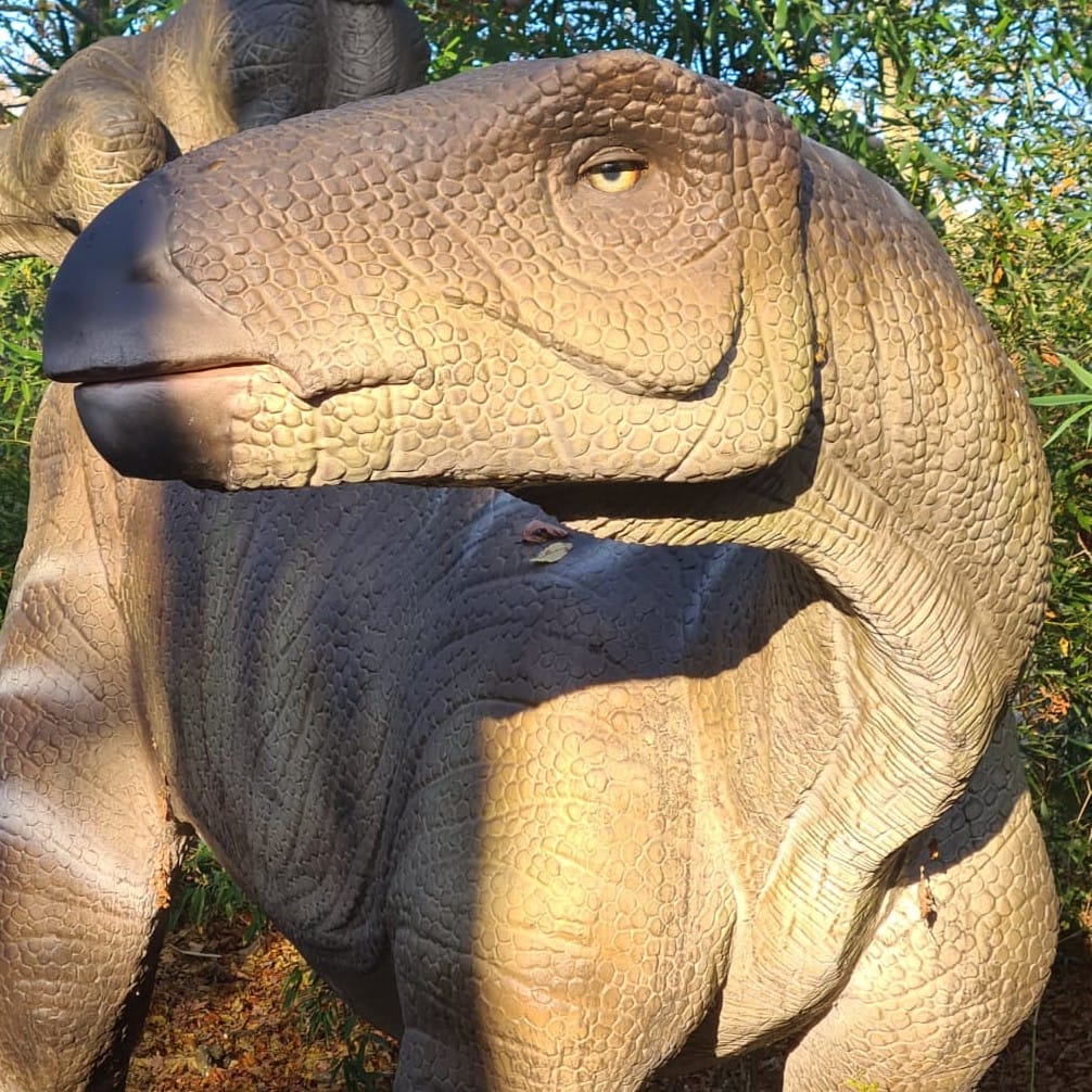 英国 Dinopark 恐龙公园项目实景 7